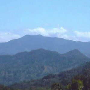 Meet your Posher, Juana